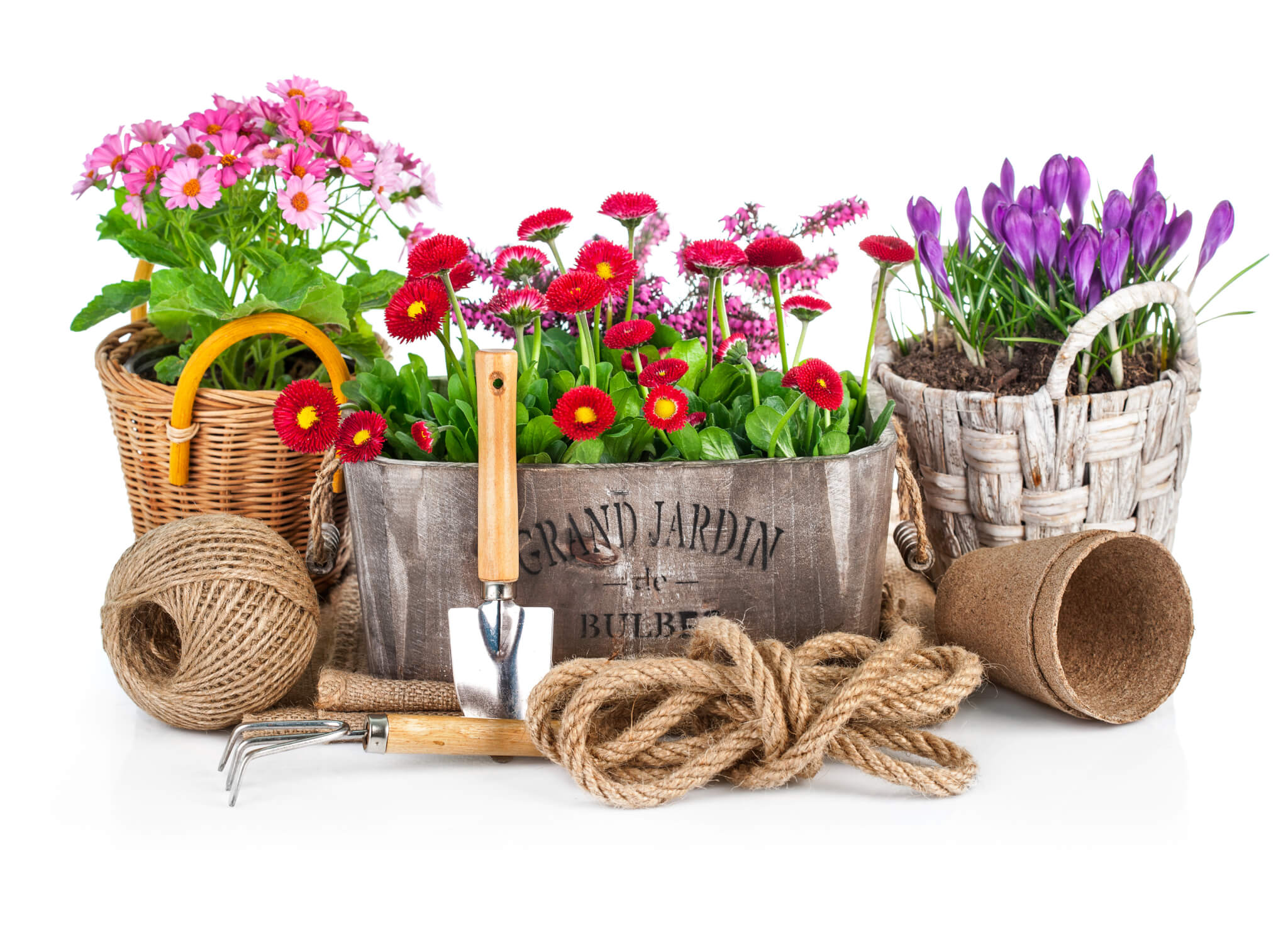 Spring Flowers In Wooden Bucket With Garden Tools