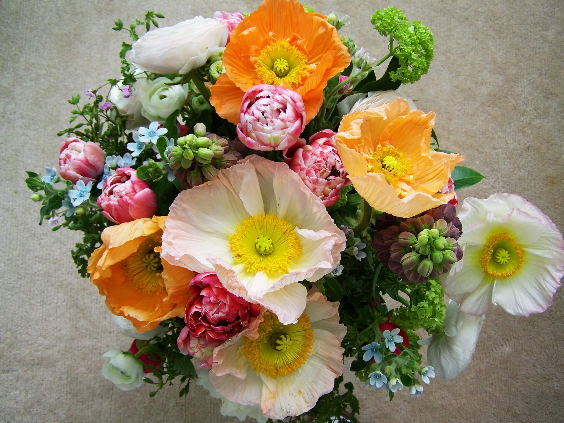 Mohnblumen Strauss Pastell