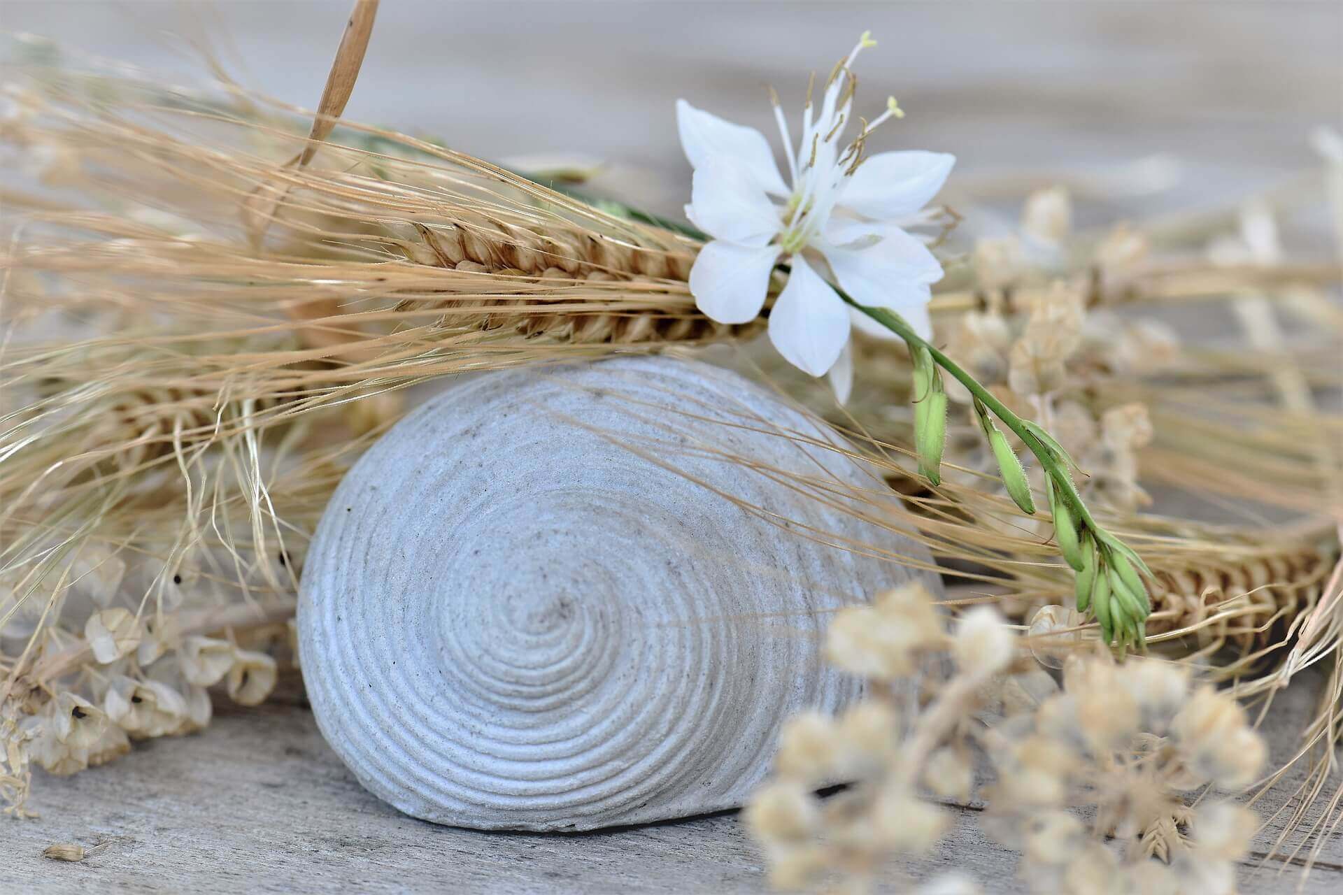 Muschel Deko Blume