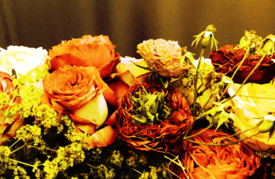 Rosen Alchemilla Gesteck Orange Feuerrot