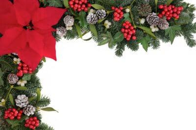 Zweige Mit Weihnachtsstern Zapfen 1